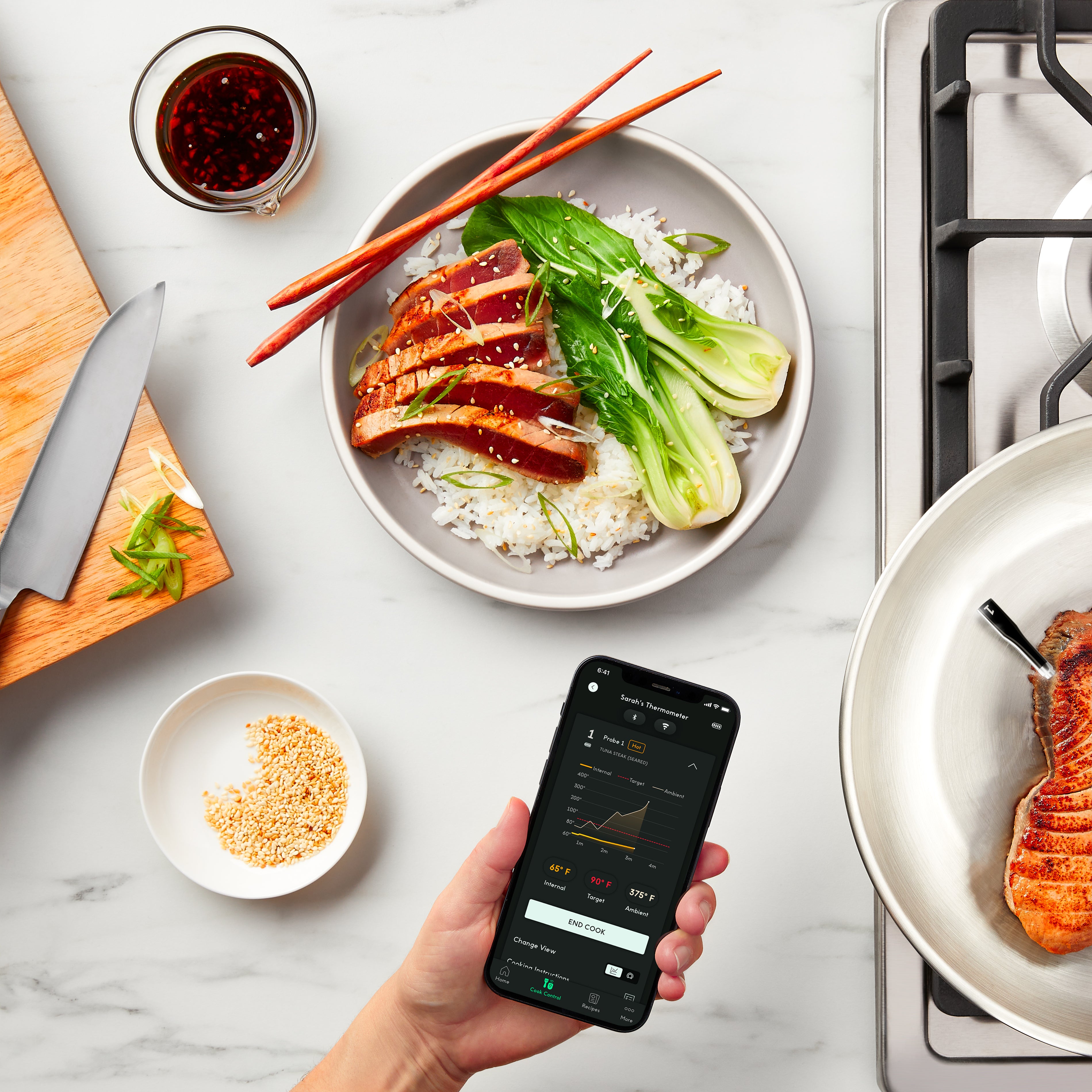iQ Sense (Gen 2) - CHEF iQ