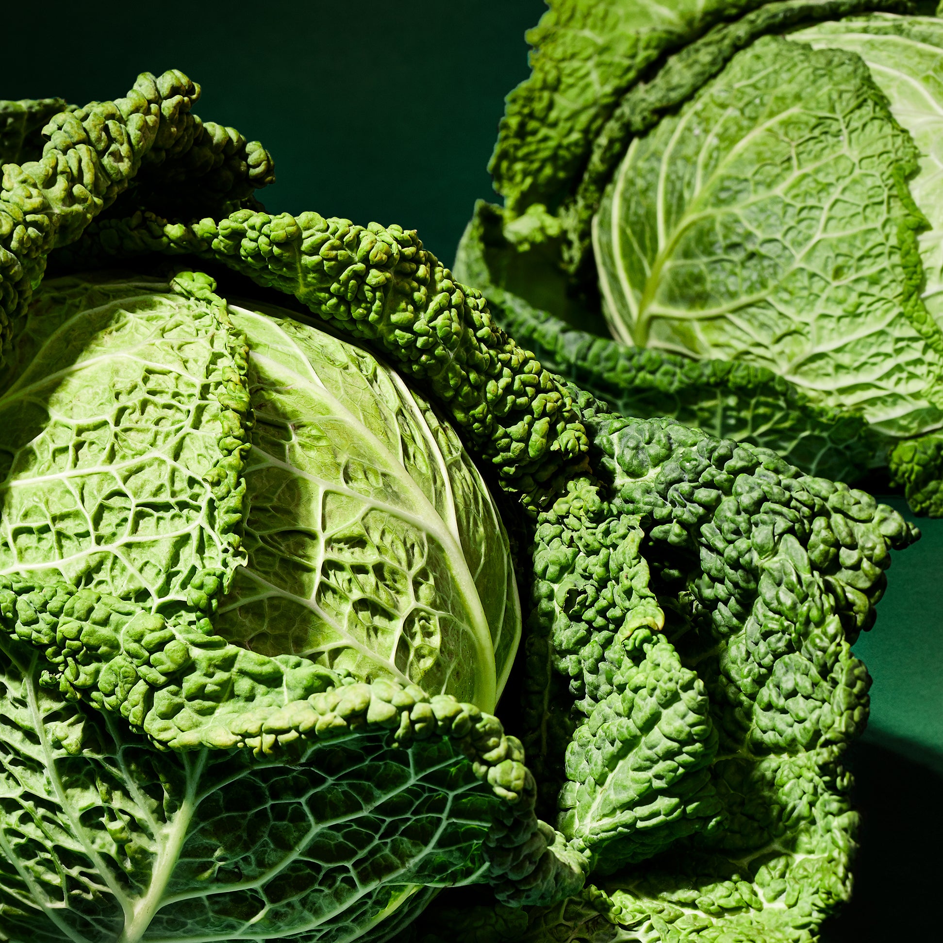 Cabbage All-Star Ingredient: Cabbage – CHEF iQ