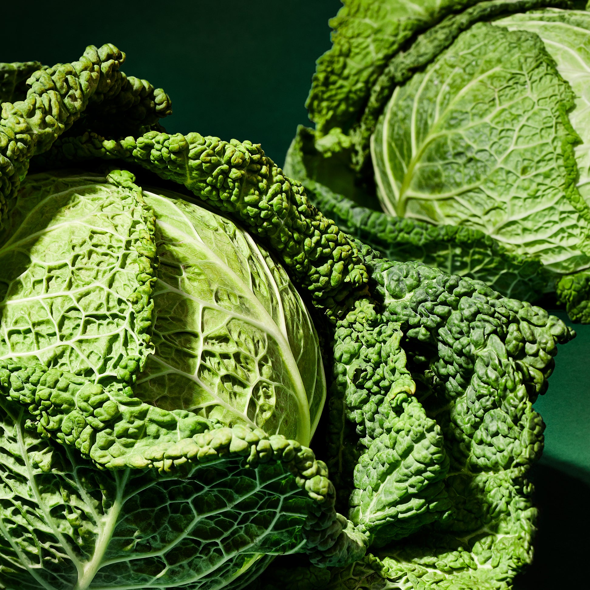 All-Star Ingredient: Cabbage