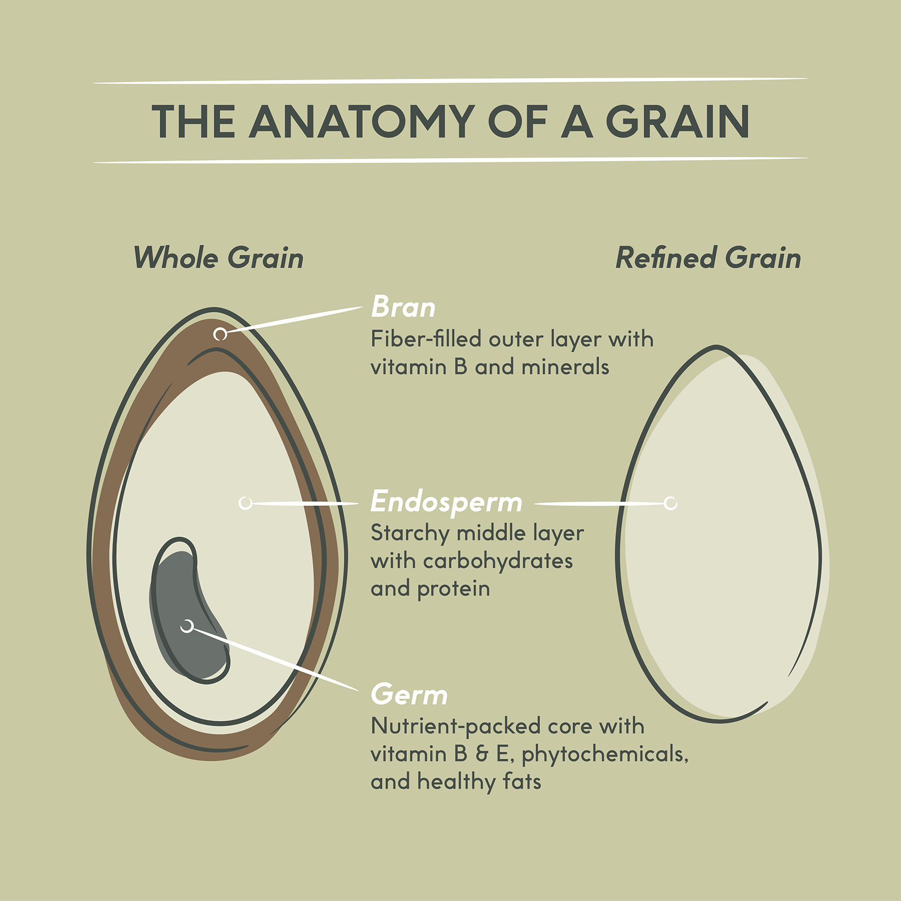The Whole Story on Whole Grains – CHEF iQ