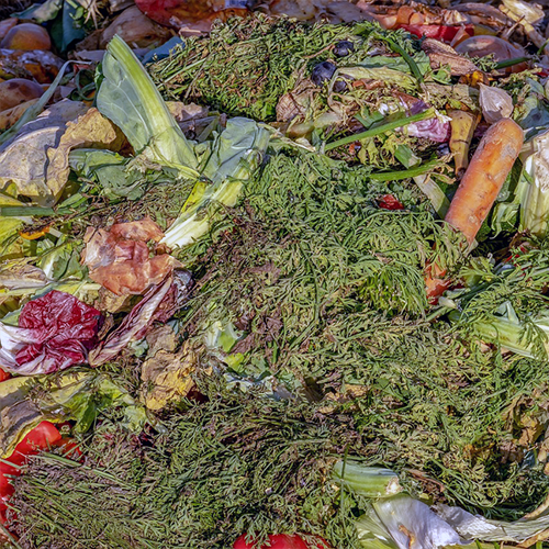 How to Compost Your Kitchen Waste: A Beginner's Guide
