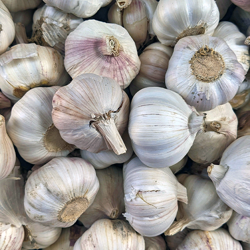 Celebrating National Garlic Month with Bold Flavors