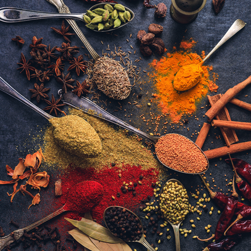 Rishi Exim products